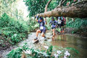 BIB: 
                            <button type="button" onclick="openModal(25517319)" class="btn btn-primary btn-sm float-right btn-popup" data-toggle="modal" data-target=".modal-high-quality">
                        <i class="fas fa-shopping-cart"></i> Add to Cart
                    </button>
                                            <button type="button" onclick="isThisMe(25517319, true)" class="btn btn-success btn-sm float-right btn-popup btn-isme hidden" data-toggle="tooltip" data-placement="bottom" title="นี่คือรูปของคุณใช่ไหม คลิกที่นี่เพื่อเอาเข้าอัลบั้ม">
                        <i class="fas fa-plus"></i> Add to album
                    </button>
                    <button type="button" onclick="isThisMe(25517319, false)" class="btn btn-warning btn-sm float-right btn-popup btn-isnotme hidden">
                        <i class="fas fa-ban"></i> Remove from album
                    </button>